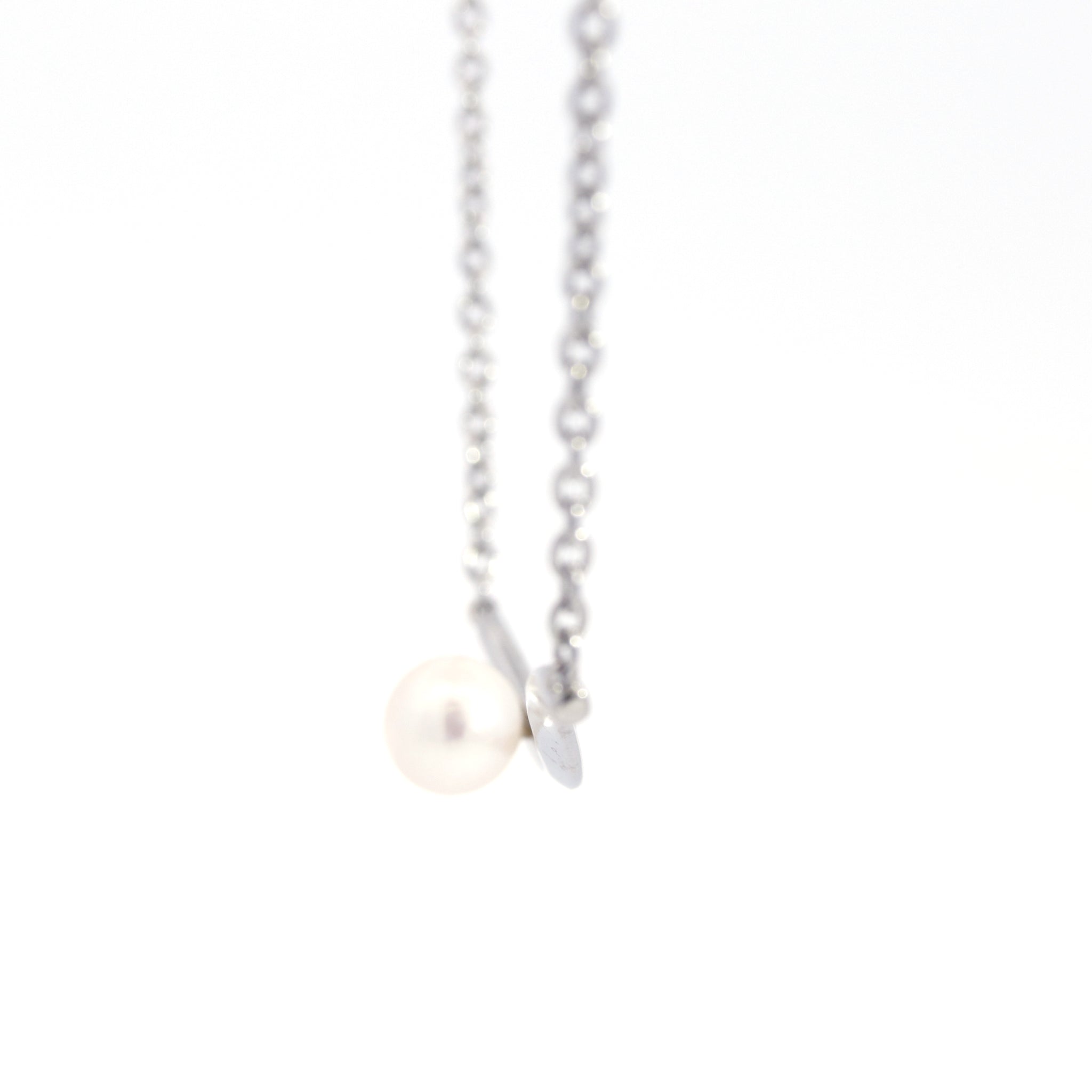 FJP-8393-ステン＊A 限定